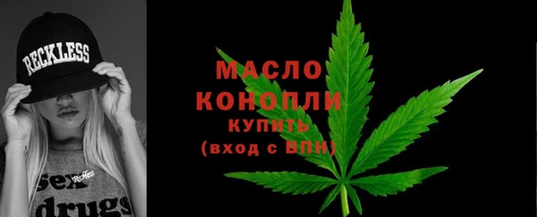 тгк Абаза