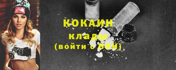 прущие грибы Михайловка